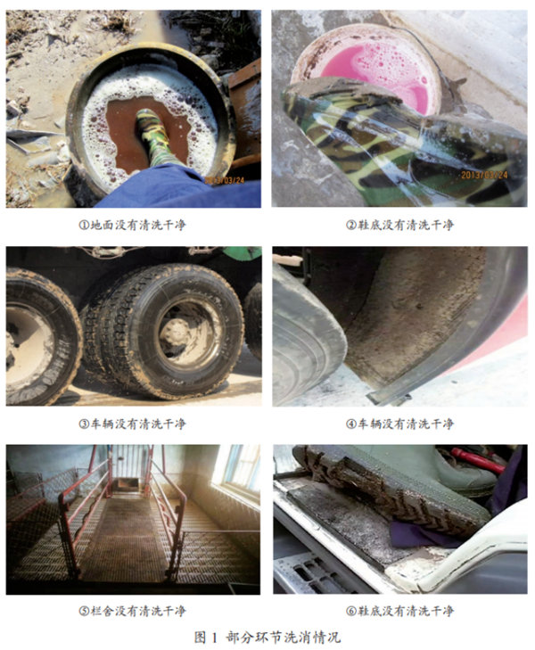 1645145147115566.jpg image.jpg