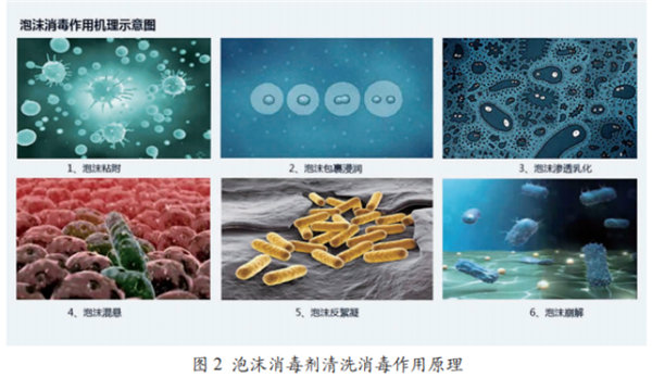 1645145163480062.jpg image.jpg